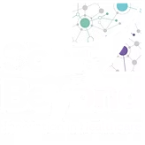 SMART - i2i for Organisations 